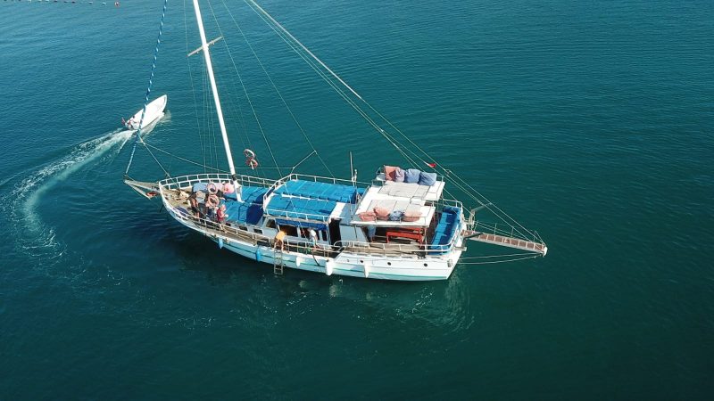 sailor (6)
